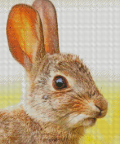 Cute Rabbit Diamond Painting