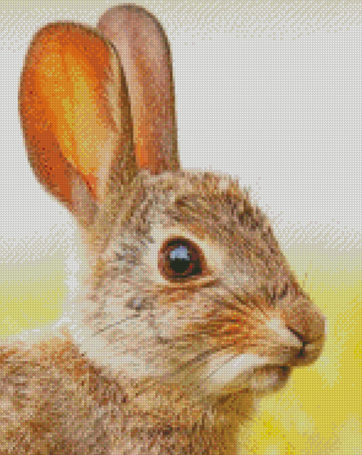 Cute Rabbit Diamond Painting