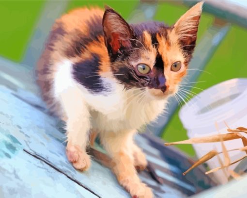 Ginger And Black And White Kitten Diamond Painting