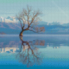 Lake Wanaka Reflection Diamond Painting