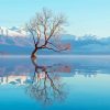 Lake Wanaka Reflection Diamond Painting