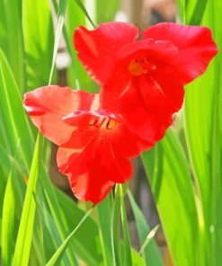 Red Gladiolus Diamond Painting