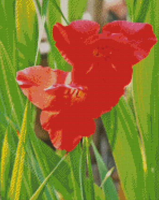 Red Gladiolus Diamond Painting