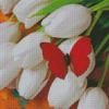 Red Butterfly On White Tulips Diamond Painting