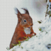 Squirrel Animal In Snow Diamond Painting