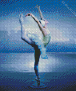 Swan Lake Ballet Diamond Painting