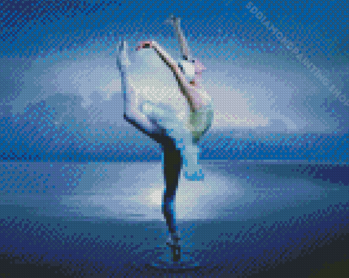 Swan Lake Ballet Diamond Painting