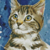 Tabby Kitten Diamond Painting