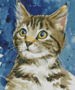 Tabby Kitten Diamond Painting