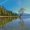 Wanaka Lake Trees Reflection Diamond Painting