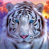 White Blue Eyes Tiger Diamond Painting