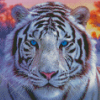 White Blue Eyes Tiger Diamond Painting