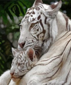 White Mama Tiger And Baby Diamond Painting