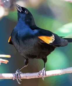 Yellow Winged Blackbird On Stick Diamond Painting