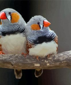 Aesthetic Zebra Finch Diamond Painting