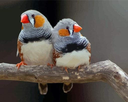 Aesthetic Zebra Finch Diamond Painting