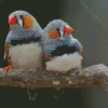 Aesthetic Zebra Finch Diamond Painting