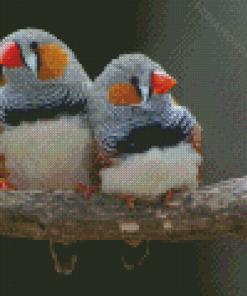 Aesthetic Zebra Finch Diamond Painting