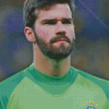 Alisson Becker Diamond Painting