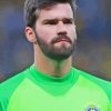 Alisson Becker Diamond Painting