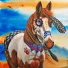 American Indian War Pony Art Diamond Painting