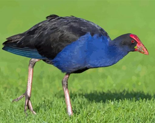 Australasian Swamphen Diamond Painting