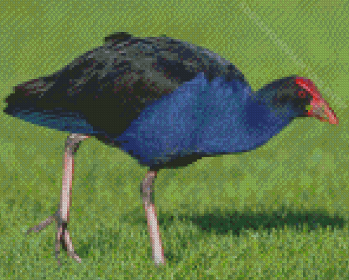 Australasian Swamphen Diamond Painting