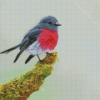 Beautiful Rose Robin Bird Diamond Painting