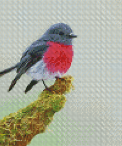 Beautiful Rose Robin Bird Diamond Painting