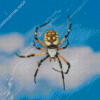 Black And Yellow Garden Spider Diamond Painting