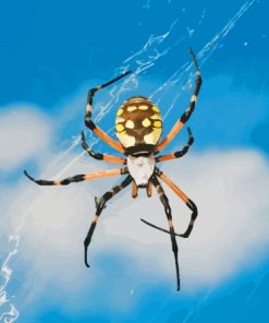 Black And Yellow Garden Spider Diamond Painting