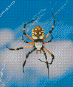 Black And Yellow Garden Spider Diamond Painting