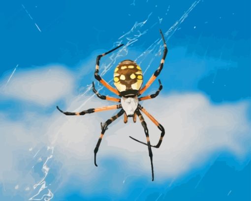 Black And Yellow Garden Spider Diamond Painting