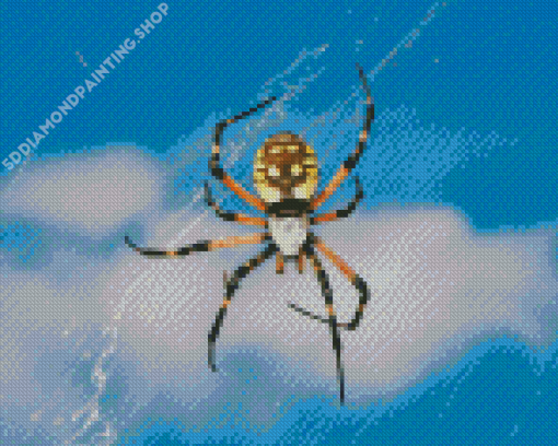 Black And Yellow Garden Spider Diamond Painting