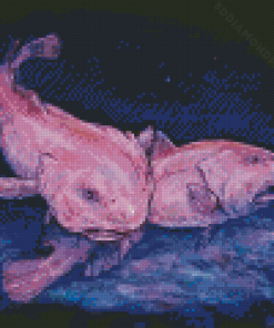 Blobfish Diamond Painting