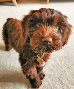 Brown Cockapoo Diamond Painting