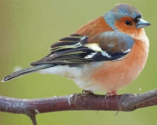 Chaffinch On Tree Diamond Painting