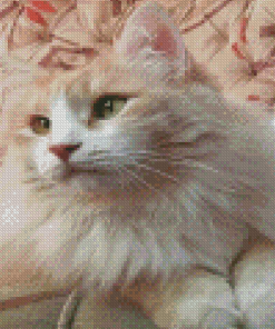 Cream Cat Diamond Painting