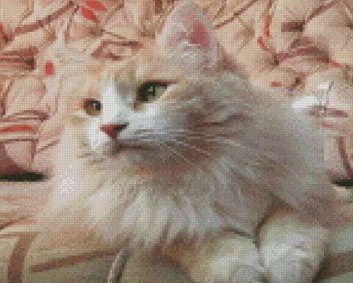 Cream Cat Diamond Painting