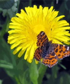 Dandelion And A Butterfly Diamond Painting