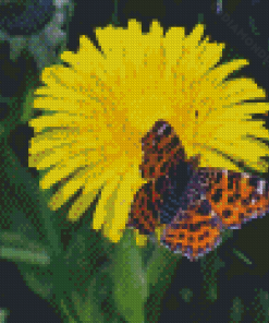 Dandelion And A Butterfly Diamond Painting