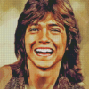 David Cassidy Art Diamond Painting