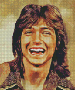 David Cassidy Art Diamond Painting