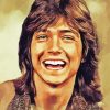 David Cassidy Art Diamond Painting