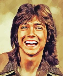 David Cassidy Art Diamond Painting