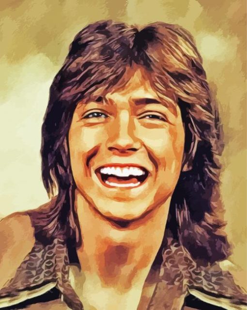 David Cassidy Art Diamond Painting