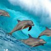 Dolphins In Wave Diamond Painting