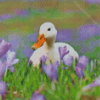 Duck And Purple Flowers Diamond Painting