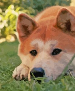 Hachiko Dog Diamond Painting