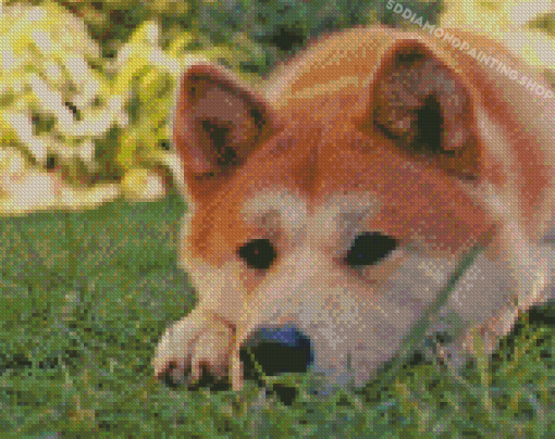 Hachiko Dog Diamond Painting